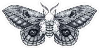 Hand Drawn Butterfly Tattoo Sticker