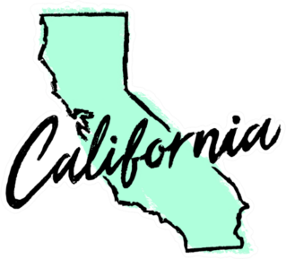 Hand Drawn California State Sticker