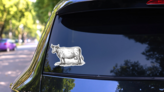 Hand Drawn Cow. Sketch Vector Illustration Sticker on a Rear Car Window (New) example