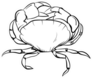 Hand Drawn Crab Line Drawing Sticker