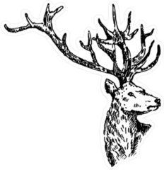 Hand Drawn Deer Sketch Sticker