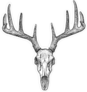 Hand Drawn Deer Skull Illustration Sticker