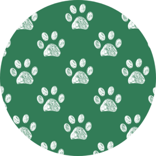 Hand Drawn Doodle Paw Prints Green Sticker