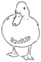 Hand Drawn Duck Animal Illustration Sketch Sticker