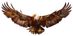 Hand Drawn Eagle Sketch Sticker