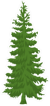 Hand Drawn Fir Tree Cartoon Style Sticker
