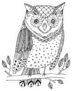 Hand Drawn Floral Boho Owl Sticker