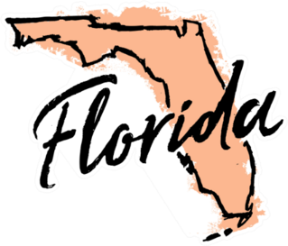 Hand Drawn Florida State Sticker