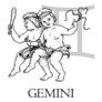 Hand Drawn Gemini Boys Sticker