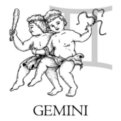 Hand Drawn Gemini Boys Sticker
