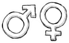 Hand Drawn Gender Symbols Sketch Sticker