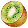 Hand-drawn Half Of The Kiwi Sticker