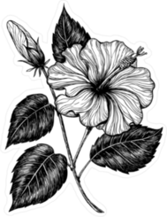 Hand Drawn Hibiscus Flower Sticker