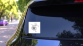 Hand Drawn Illustrated Hibiscus Branch With Flowers Sticker on a Rear Car Window (New) example