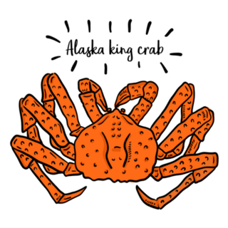 Hand Drawn Illustration Of Alaska King Crab Sticker