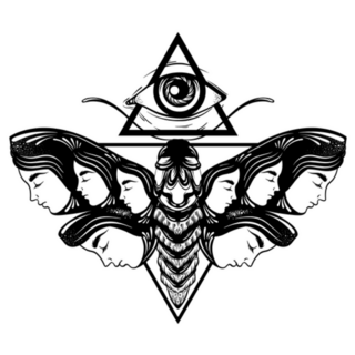 Hand Drawn Illustration Of Moth With All Seeing Eye Sticker