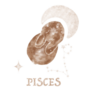 Hand Drawn Magic Bunny Pisces Sticker