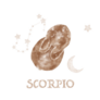 Hand Drawn Magic Bunny Scorpio Illustration Sticker
