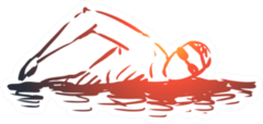 Hand Drawn Man Swim In Pool Sticker