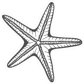 Hand Drawn Marine Starfish Sticker
