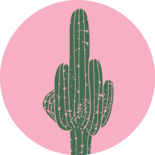 Hand-drawn Middle Finger Cactus On Pink Sticker
