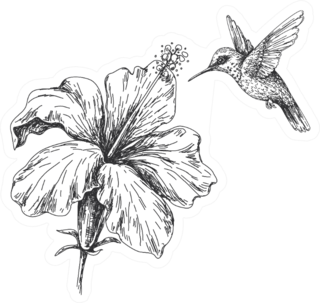 Hand Drawn Monochrome Hummingbird And Hibiscus Sticker