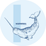 Hand Drawn Narwhal Blue Sticker