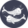 Hand Drawn Narwhals Couple Sticker