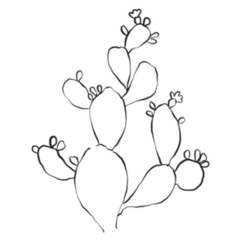 Hand Drawn New Mexico Cactus Plant Illustration Sticker