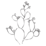 Hand Drawn New Mexico Cactus Plant Illustration Sticker