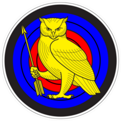 Hand Drawn Owl With Arrow On Targets Sticker