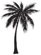 Hand Drawn Palm Tree Silhouette Sticker