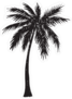 Hand Drawn Palm Tree Silhouette Sticker