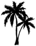 Hand Drawn Palm Trees Silhouette Sticker