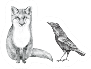 Hand Drawn Pencil Illustration Of A Fox And Crow Sticker