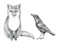 Hand Drawn Pencil Illustration Of A Fox And Crow Sticker