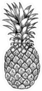 Hand Drawn Pineapple Fruit Sketch Sticker