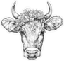 Hand Drawn Portrait Of Cute Cow With A Wreath On Head Sticker