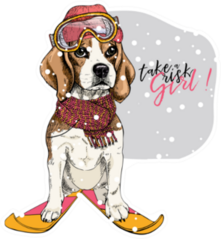 Hand Drawn Portrait Of Skiing Beagle Sticker
