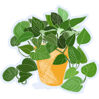 Hand Drawn Potted Plant Stickers