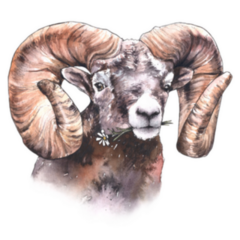 Hand Drawn Realistic Watercolor Aries Sign Sticker