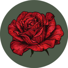 Hand Drawn Red Rose On Green Background Sticker