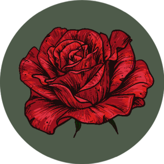 Hand Drawn Red Rose On Green Background Sticker