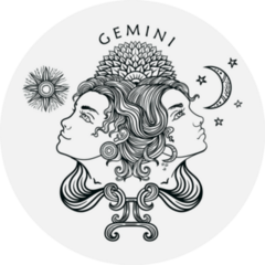 Hand Drawn Romantic Zodiac Gemini Sticker