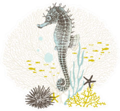 Hand Drawn Seahorse With Watercolor Texture Sticker