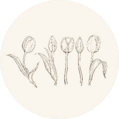 Hand Drawn Set Of Tulips Flowers On Light Background Sticker