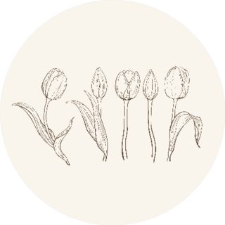 Hand Drawn Set Of Tulips Flowers On Light Background Sticker