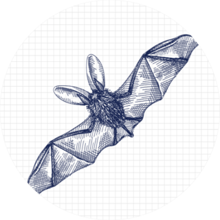 Hand-drawn Sketch Of A Bat While Flying Sticker