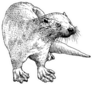 Hand Drawn Sketch Of A Smooth Coated Otter Sticker