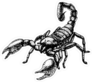 Hand Drawn Sketch Of Scorpion Sticker